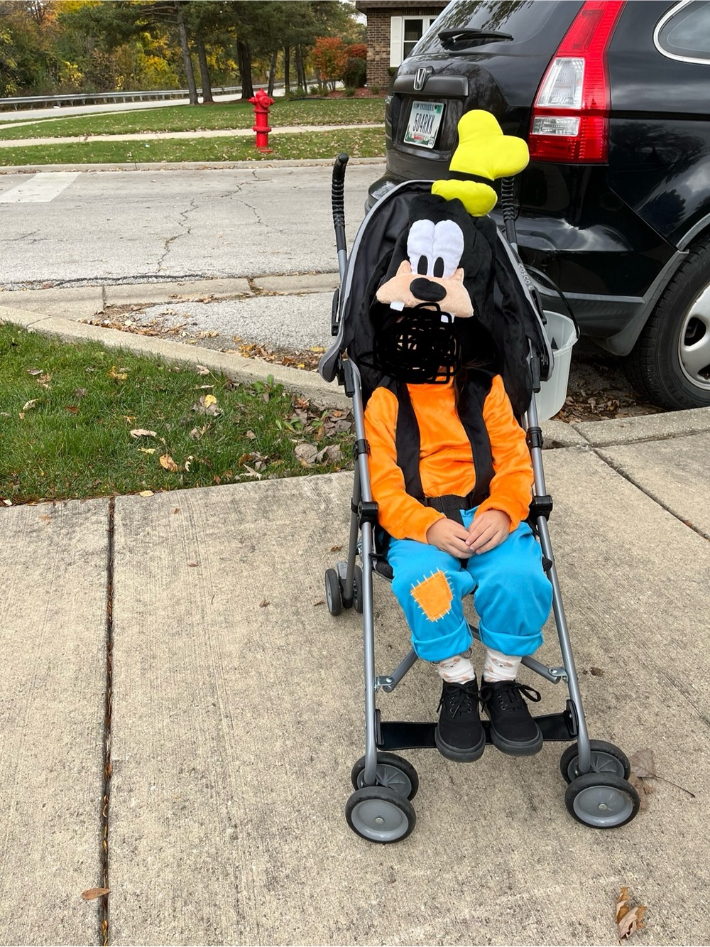 Goofy Costume